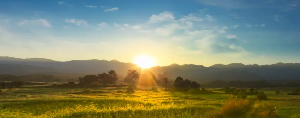 EMDR therapy offers hope and healing for trauma and PTSD.